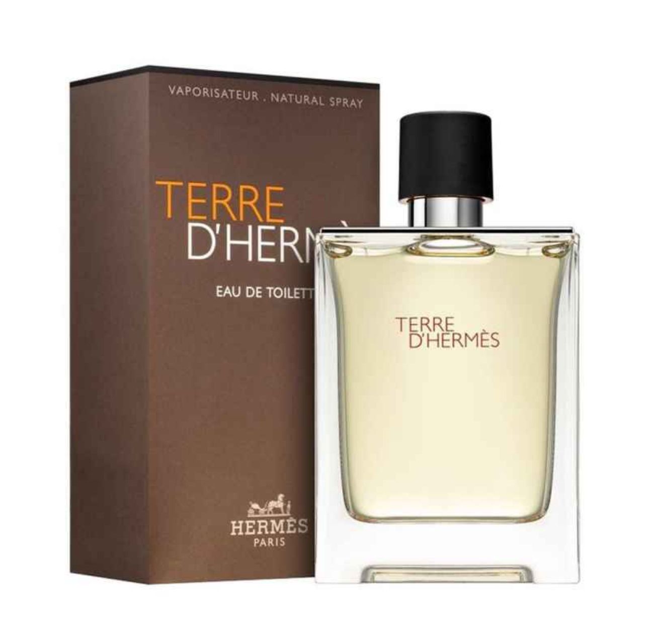 TERRE D'HERMES edt 100ml